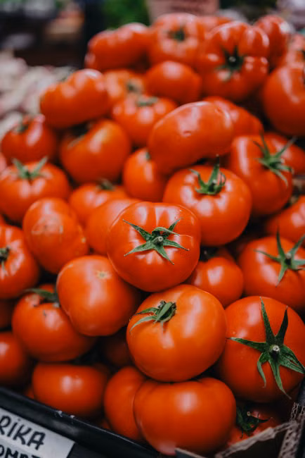 Tomate Italiano (kg)